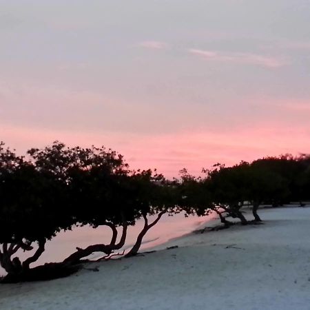 Aruba Surfside Marina Hotell Oranjestad Eksteriør bilde