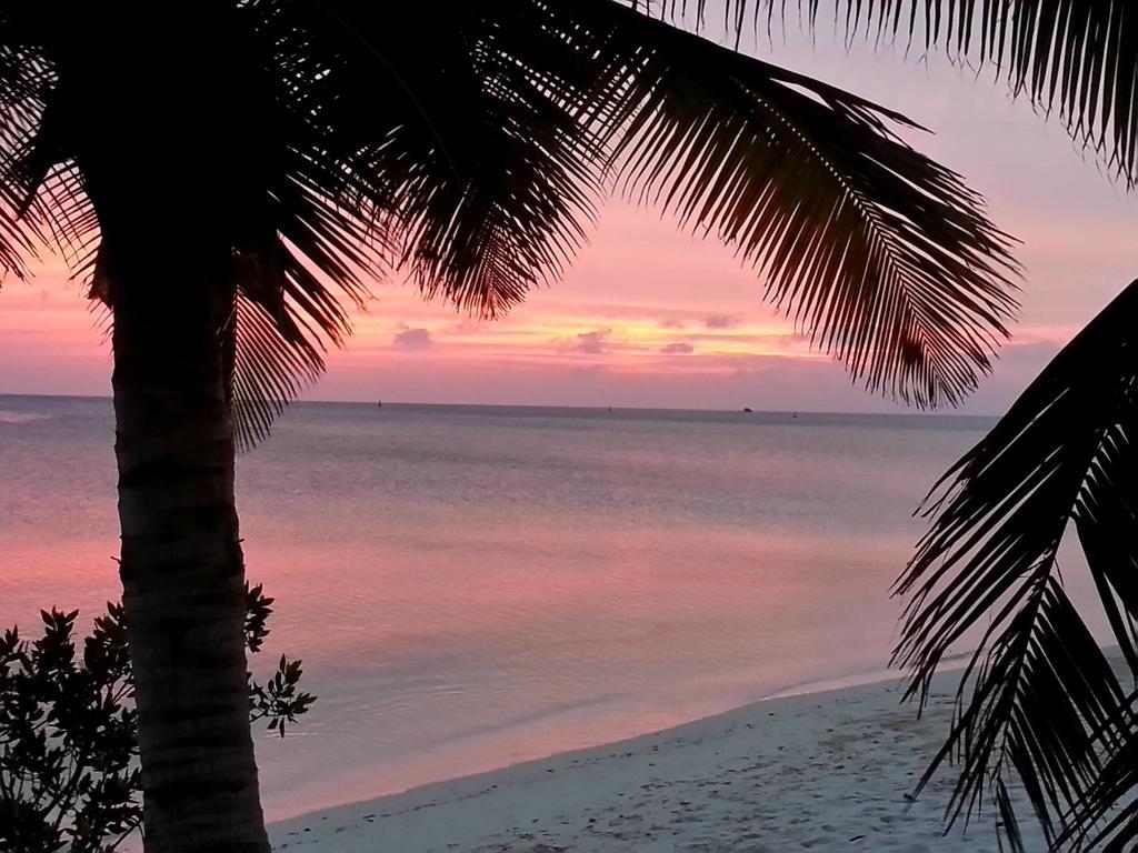 Aruba Surfside Marina Hotell Oranjestad Eksteriør bilde