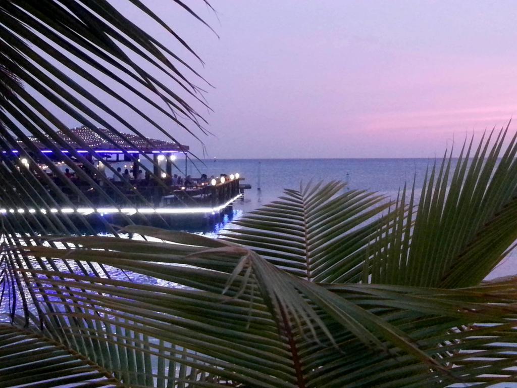 Aruba Surfside Marina Hotell Oranjestad Eksteriør bilde
