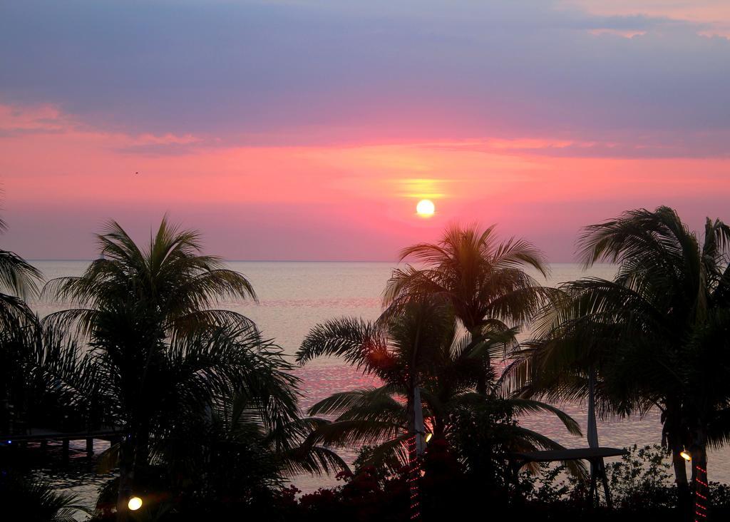Aruba Surfside Marina Hotell Oranjestad Eksteriør bilde