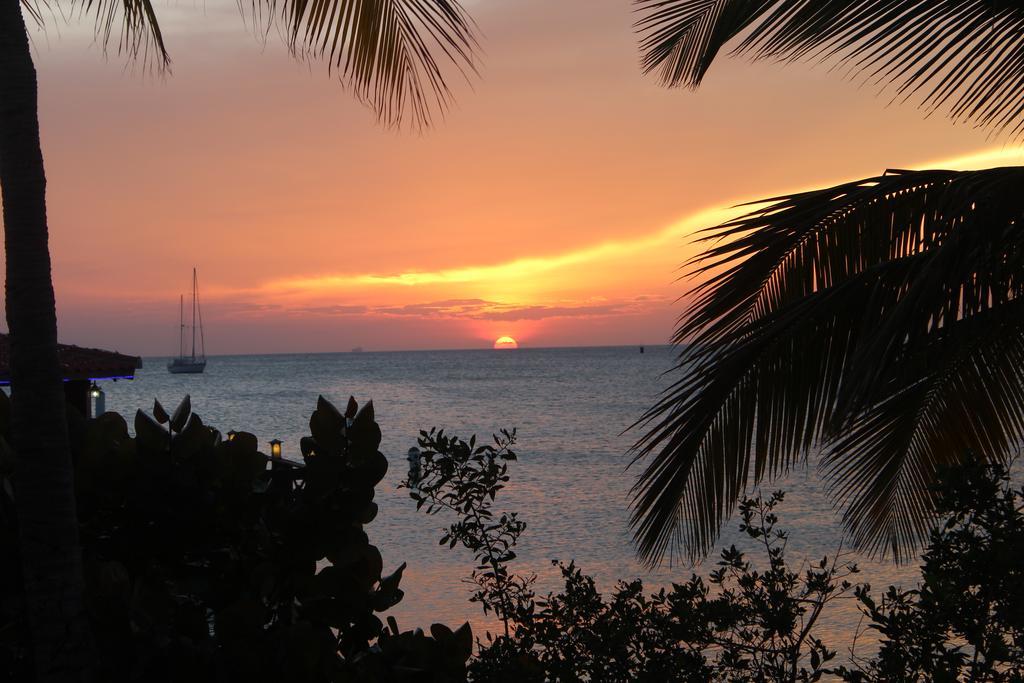 Aruba Surfside Marina Hotell Oranjestad Eksteriør bilde