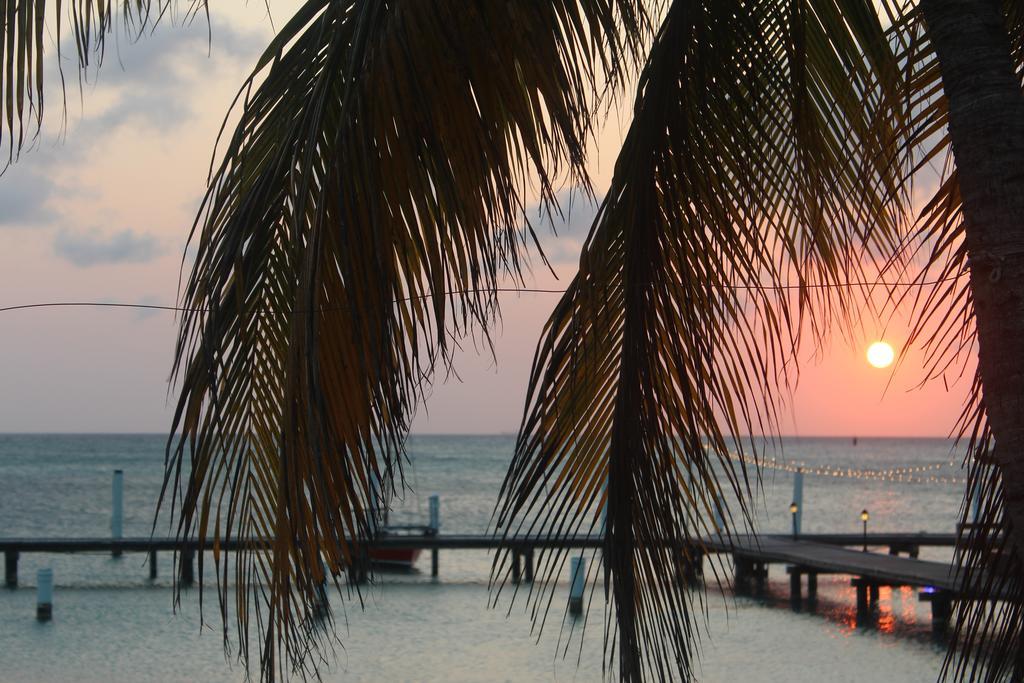 Aruba Surfside Marina Hotell Oranjestad Eksteriør bilde
